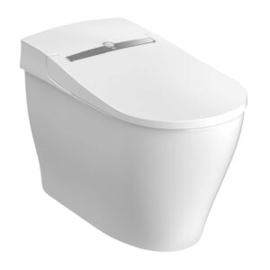 Smart Toilets And Bidets